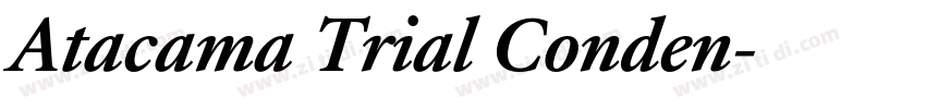 Atacama Trial Conden字体转换